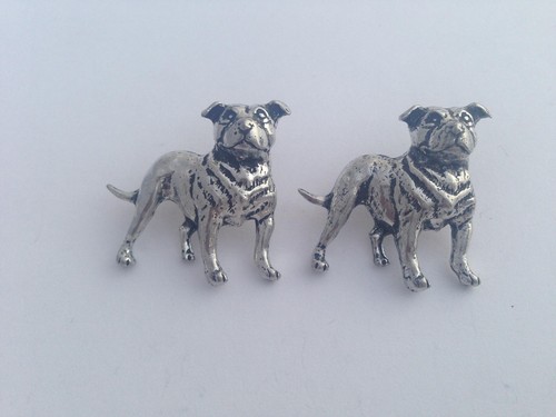 Staffordshire bull terrier d17 - bull,