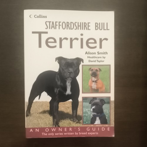 Staffordshire bull terrier an - staffordshire, terrier: