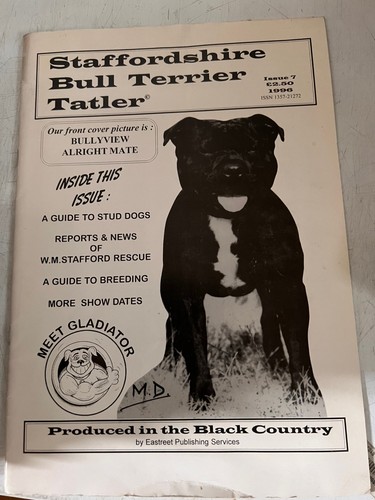 Staffordshire bull terrier - bull,