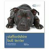 Staffordshire bull terrier - staffordshire,