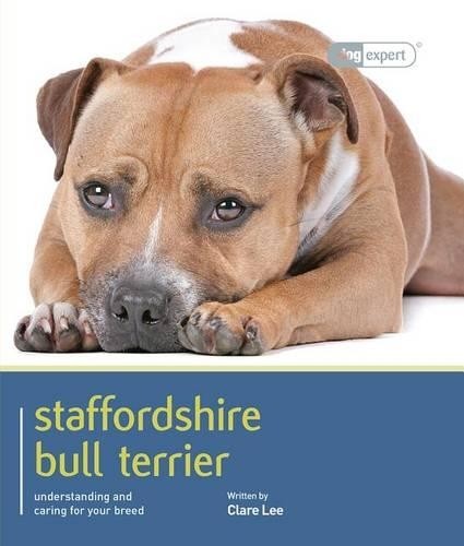 Staffordshire bull terrier - staffordshire,