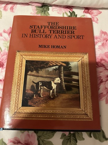 Staffordshire bull terriers - bull, in