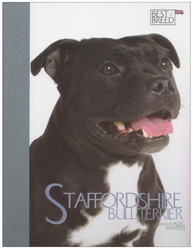 The staffordshire bull terrier - the,
