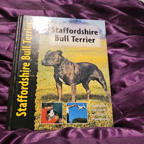 Staffordshire bull terrier - bull,