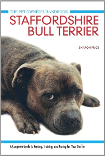 Staffordshire bull terrier - bull,