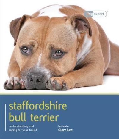 Staffordshire bull terrier - staffordshire,