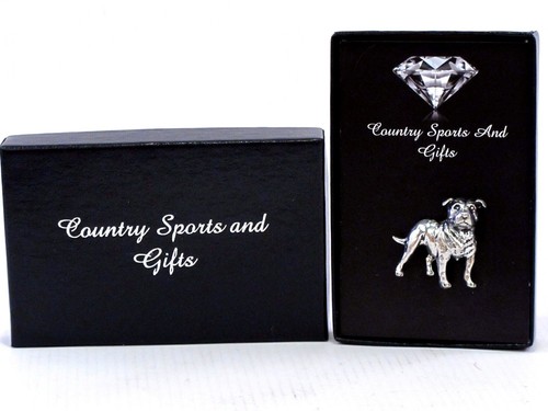 Staffordshire bull terrier - bull,