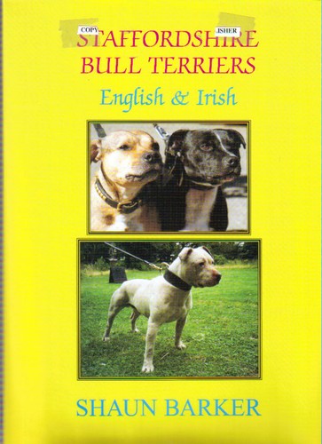 Staffordshire bull terriers - staffordshire,