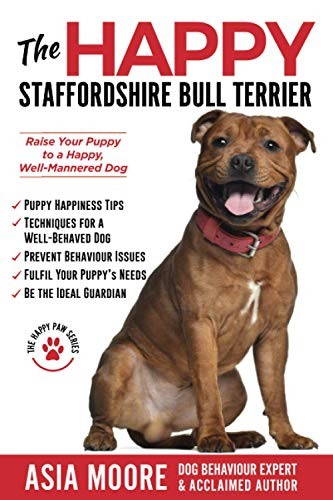 The happy staffordshire bull - staffordshire,