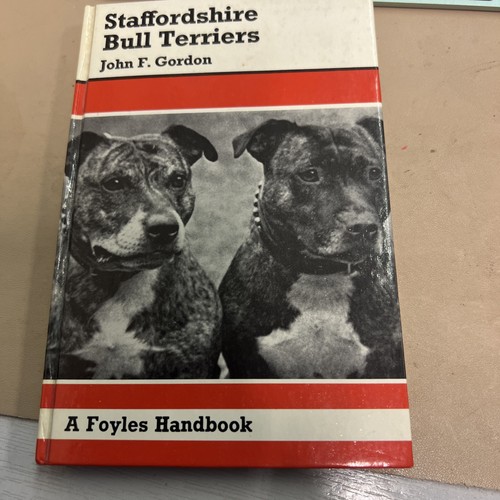 Staffordshire bull terriers - bull,