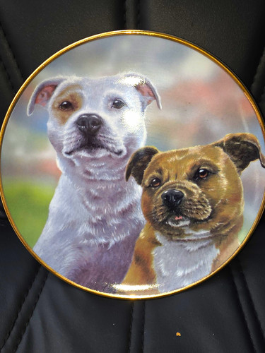 Danbury mint good companions - mint,