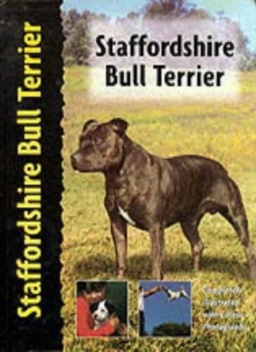 Staffordshire bull terrier - terrier,