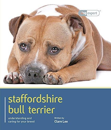 Staffordshire bull terrier - staffordshire,