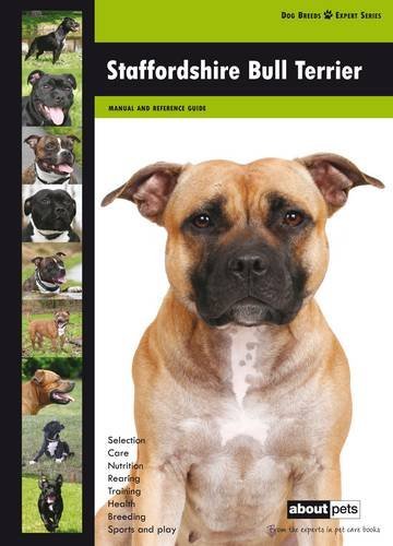 Staffordshire bull terrier - bull,