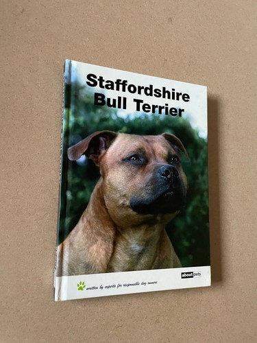 Staffordshire bull terrier - terrier,